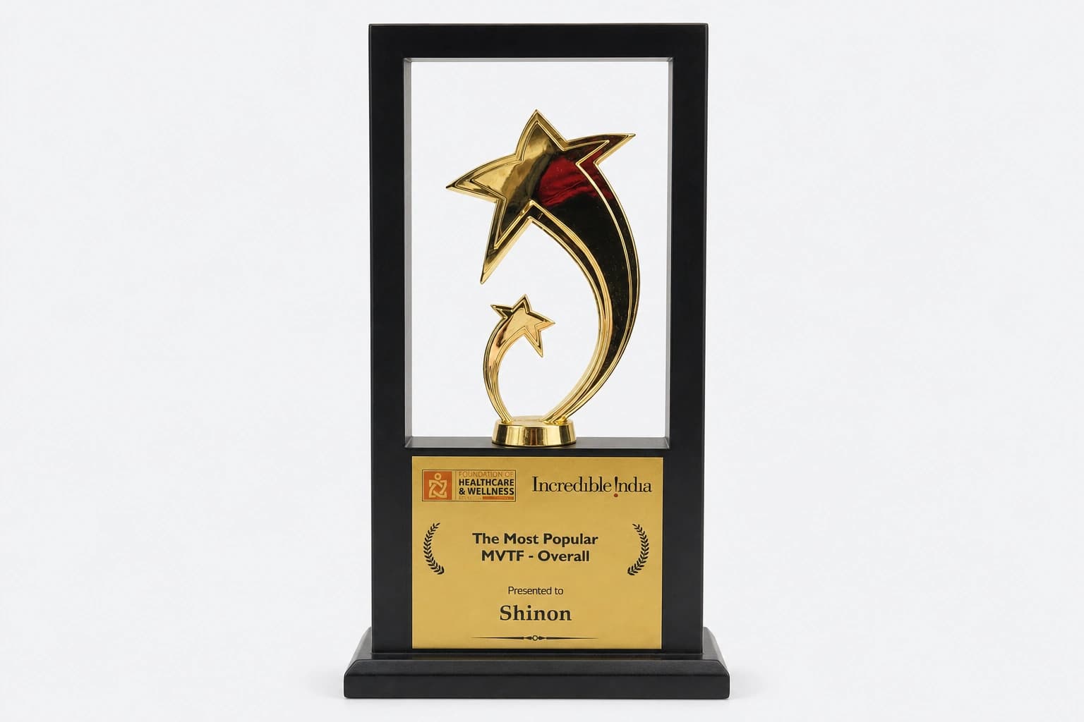 The Most Popular MVTF - Overall trophy presented to Shinon