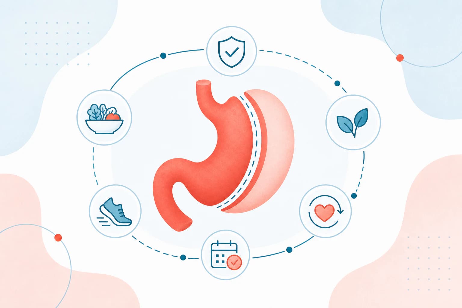 Stomach with bariatric care markers