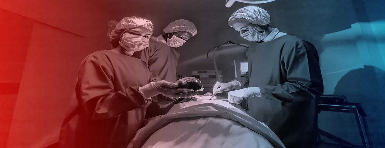 Bridging the Gap: Addressing Challenges in Organ Transplantation Shortages and Waiting Lists