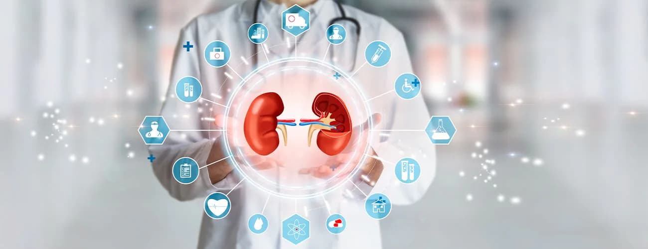 Everything you need to know before kidney transplant