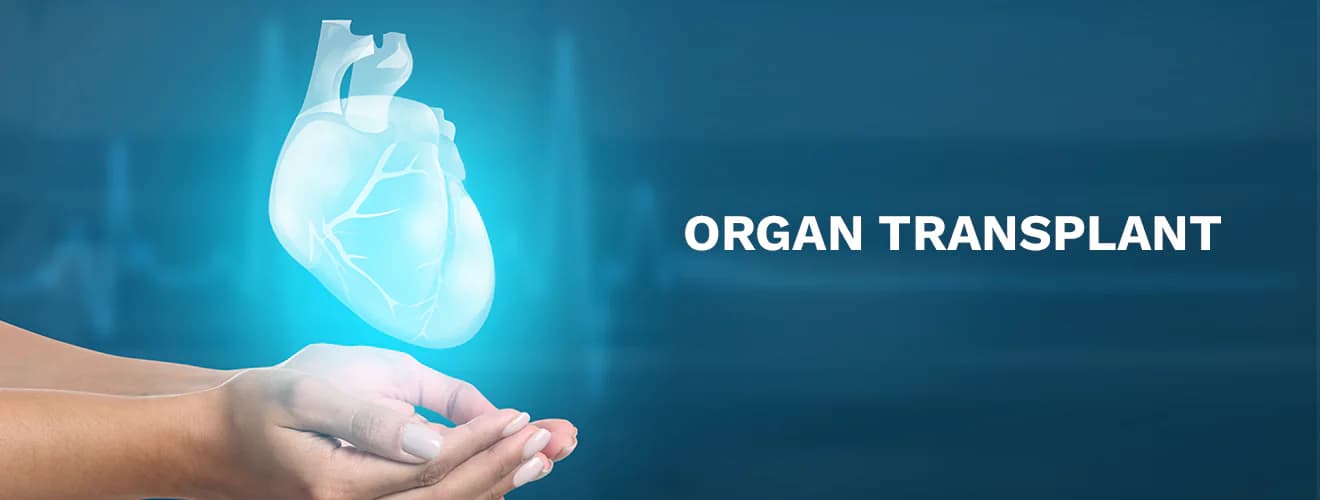 Organ transplant