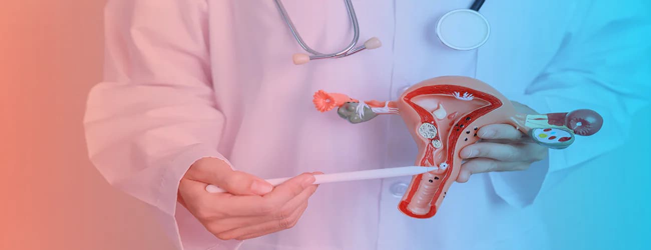Innovations in Cervical Cancer Research: What’s on the Horizon?