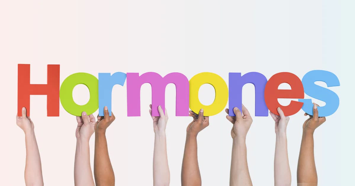 Navigating Hormonal Changes: A Guide to Understanding Your Body