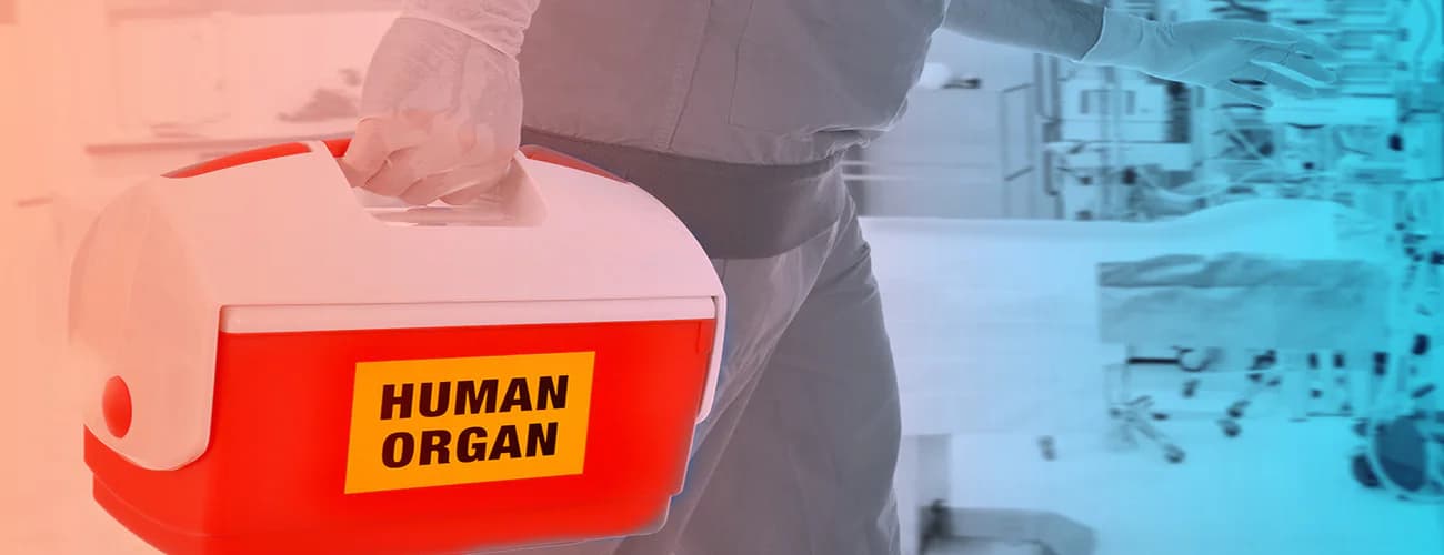 Nurturing Hope: Organ Transplants and Pediatric Patients