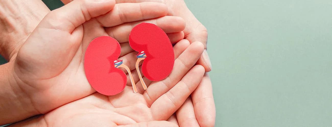 Ready for a Kidney Transplant? Should You Choose a Living Donor or Wait for a Deceased Donor?