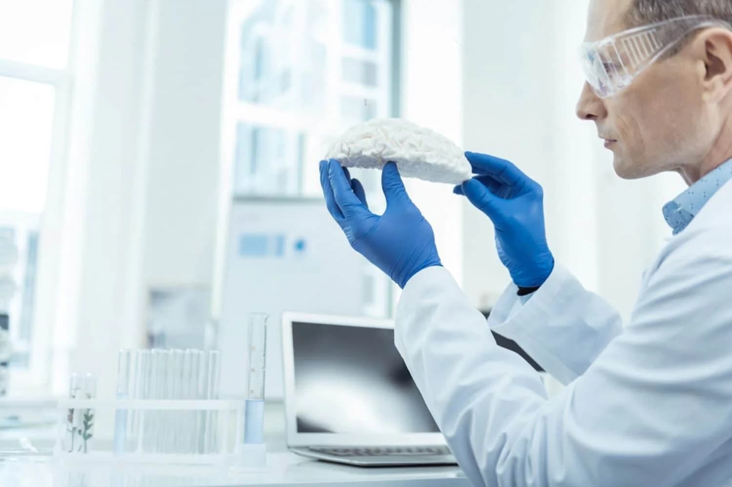 The Link Between Alzheimer’s and Other Neurodegenerative Diseases