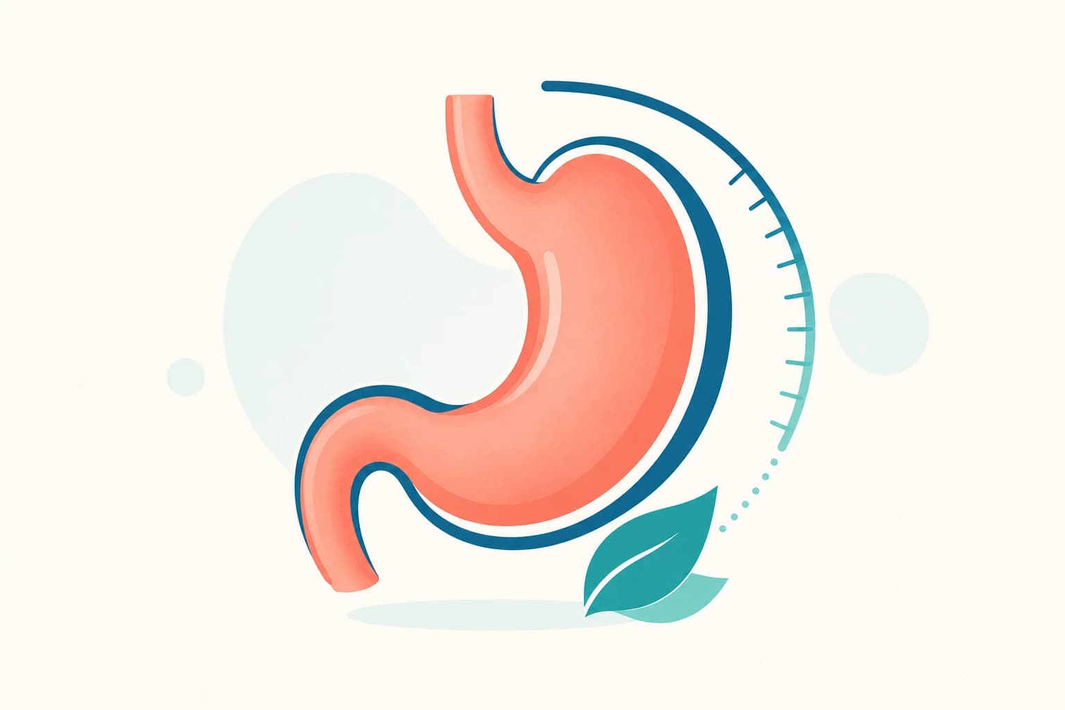 Minimal illustration of bariatric surgery care