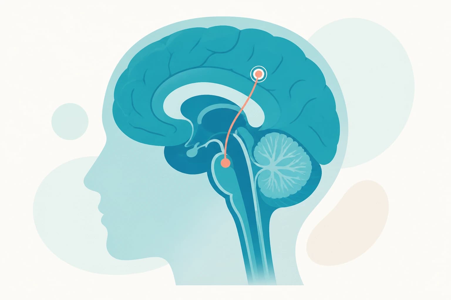 Minimal illustration of neurosurgery care